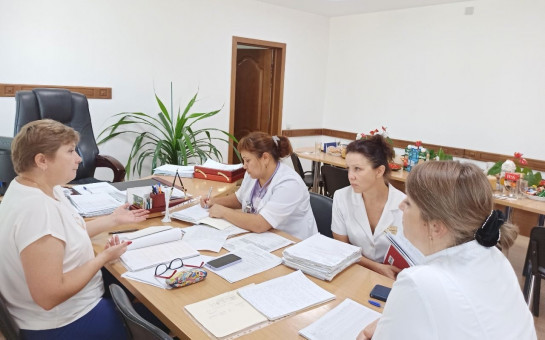 Главные врачи новосибирских медучреждений и главные специалисты регионального Минздрава проконсультировали жителей отдаленных районов